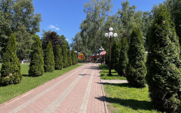Парк «Берёзовая роща» в Дмитрове.