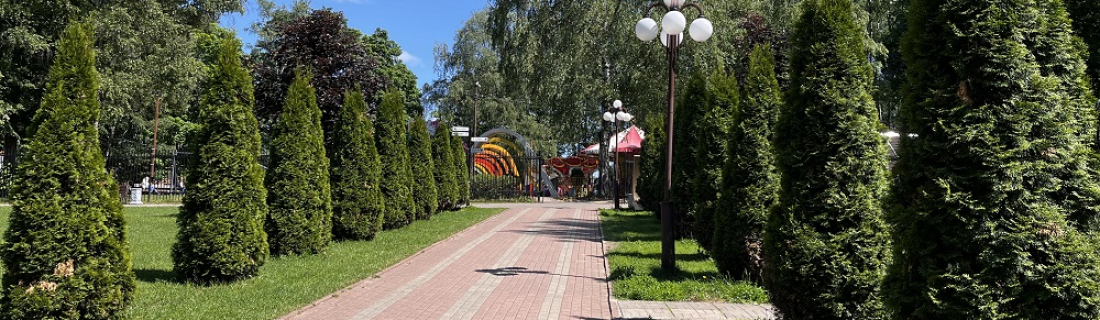 Парк «Берёзовая роща» в Дмитрове.