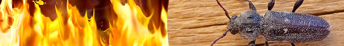 Как защитить дом от жучка и возгорания одновременно ?